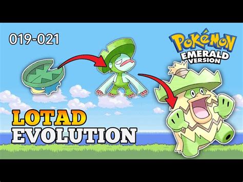 lotad type|lotad evolution charlotte.